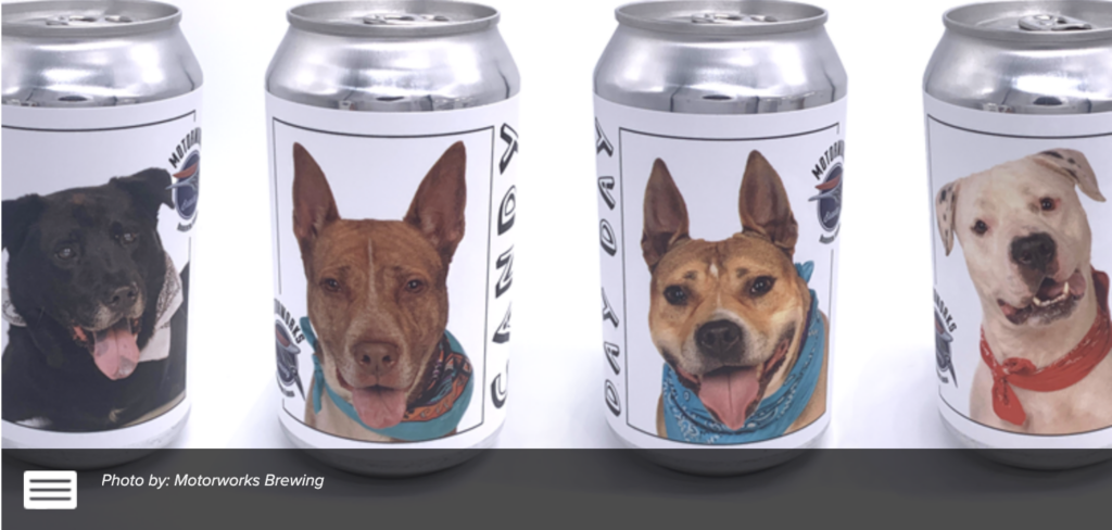 Florida brewery puts shelter dog photos on beer cans to help find forever homes