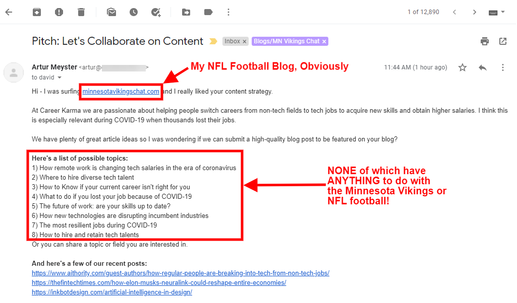 Screenshot: Completely Irrelevant Pitch To Minnesota Vikings Chat